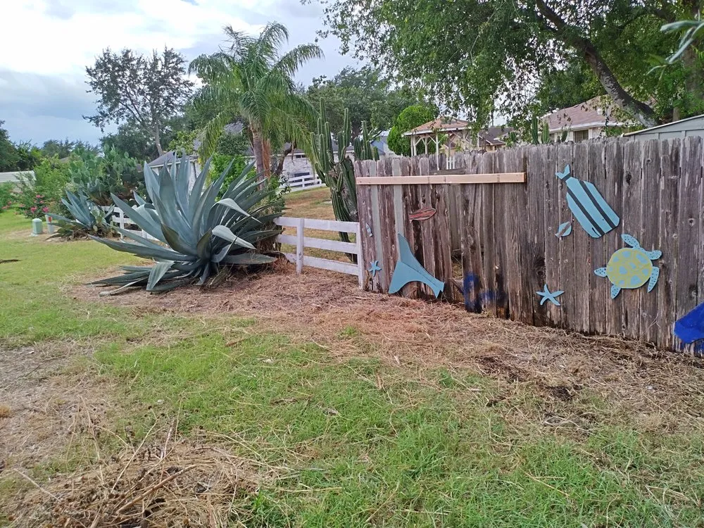 Expert landscaping services for year-round maintenance across Mission, TX - Chris’s Lawn Care