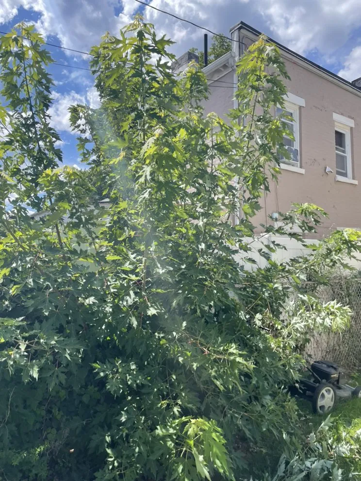 Custom residential landscaping near you in Troy, NY by Chris’s lawn care