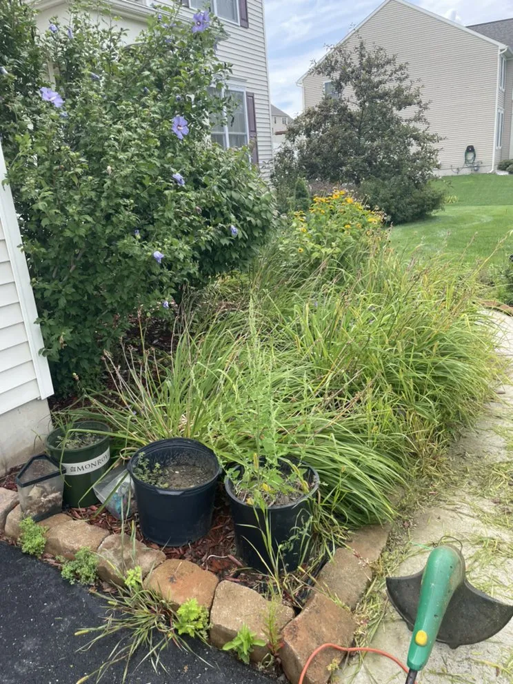 Expert outdoor landscaping for homes across Troy, NY - Chris’s lawn care