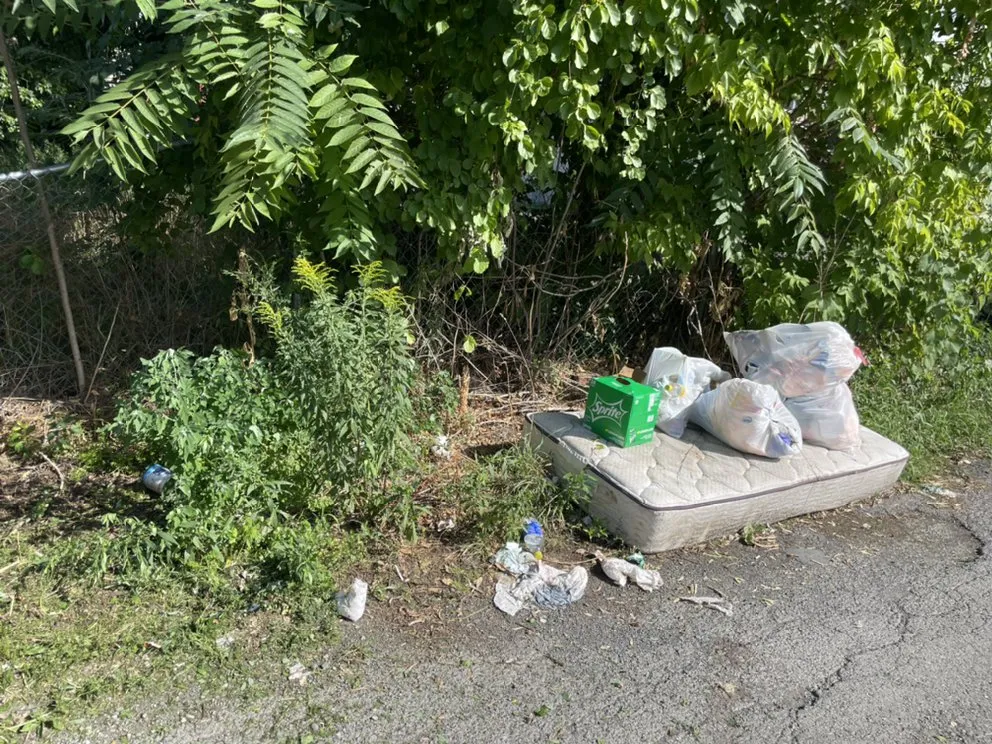 Reliable landscaping services in Troy, NY - Chris’s lawn care