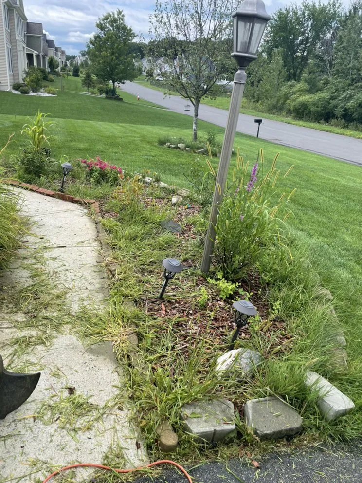 Reliable yard maintenance for beautiful yards across Troy, NY - Chris’s lawn care