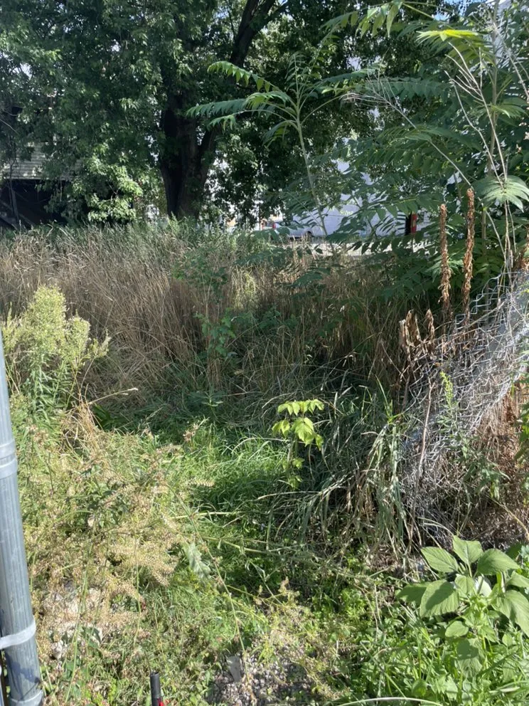 Affordable yard cleanup service for residential properties in Troy, NY by Chris’s lawn care