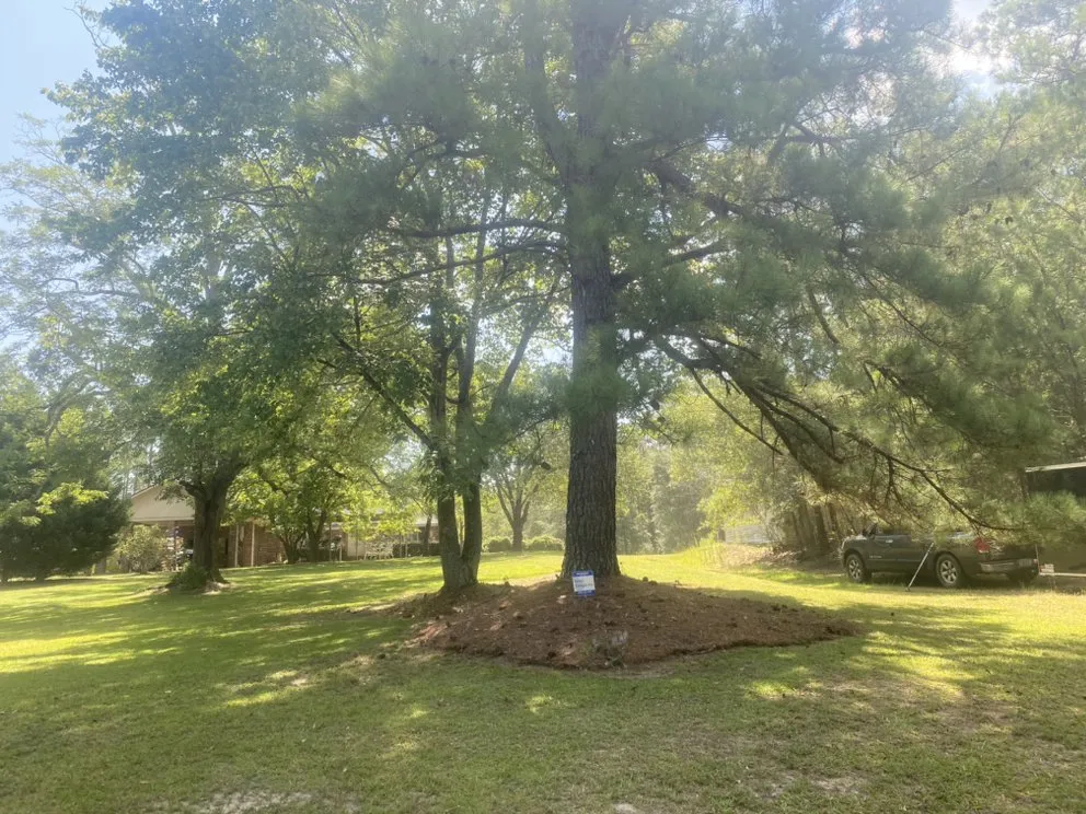 Top-rated residential landscaping in Glenwood, GA by Chris’s Lawn Service and Pressure Washing