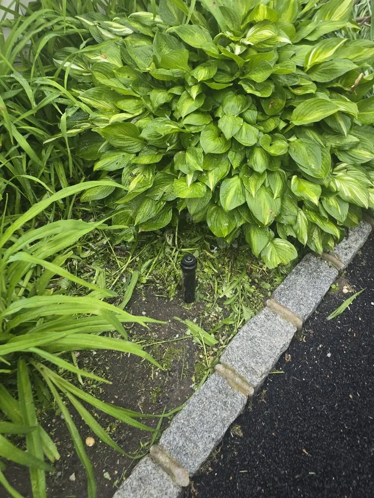 Affordable landscape installation experts serving Hicksville, NY - Chris's Lawn Service