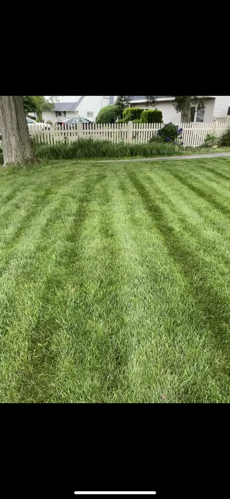 Local residential landscaping for residential properties across Hicksville, NY - Chris's Lawn Service