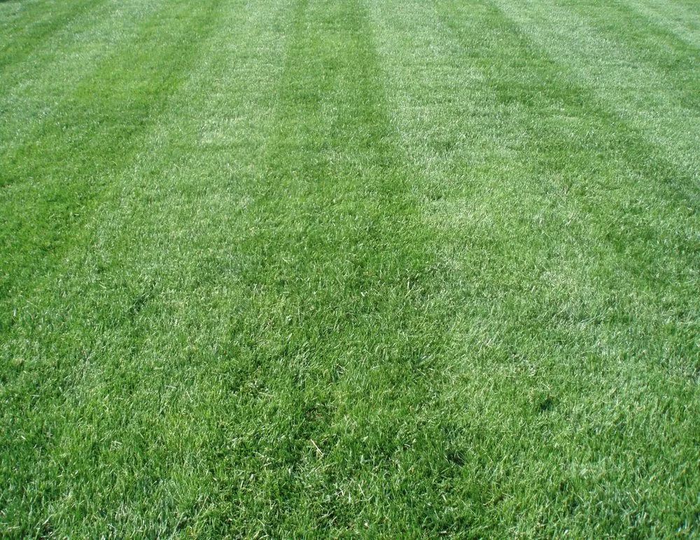 Reliable landscaping services in Hicksville, NY by Chris's Lawn Service