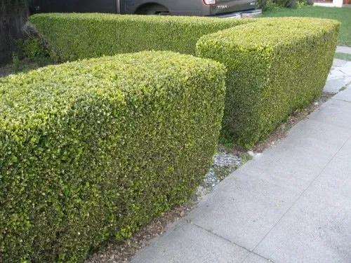 Reliable garden landscaping in Hicksville, NY by Chris's Lawn Service