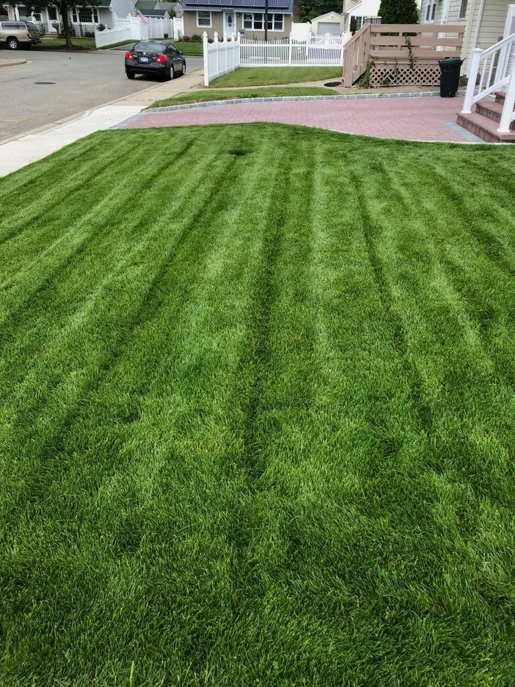 Trusted lawn care service experts serving Hicksville, NY - Chris's Lawn Service