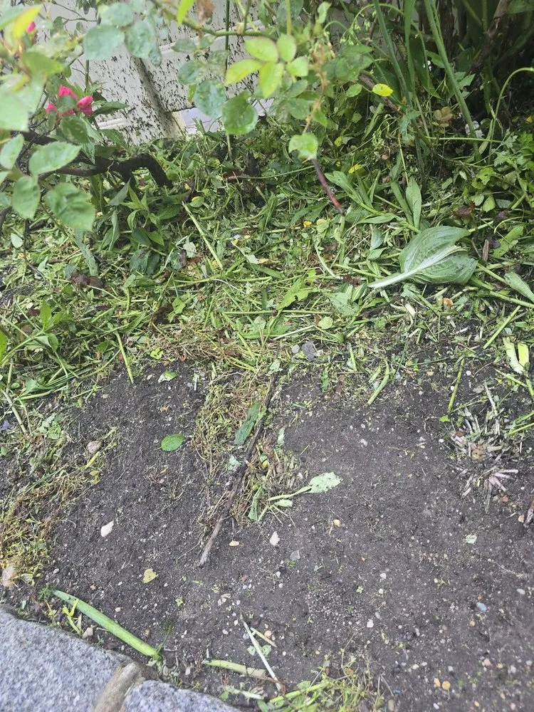 Trusted landscape design for residential properties across Hicksville, NY - Chris's Lawn Service