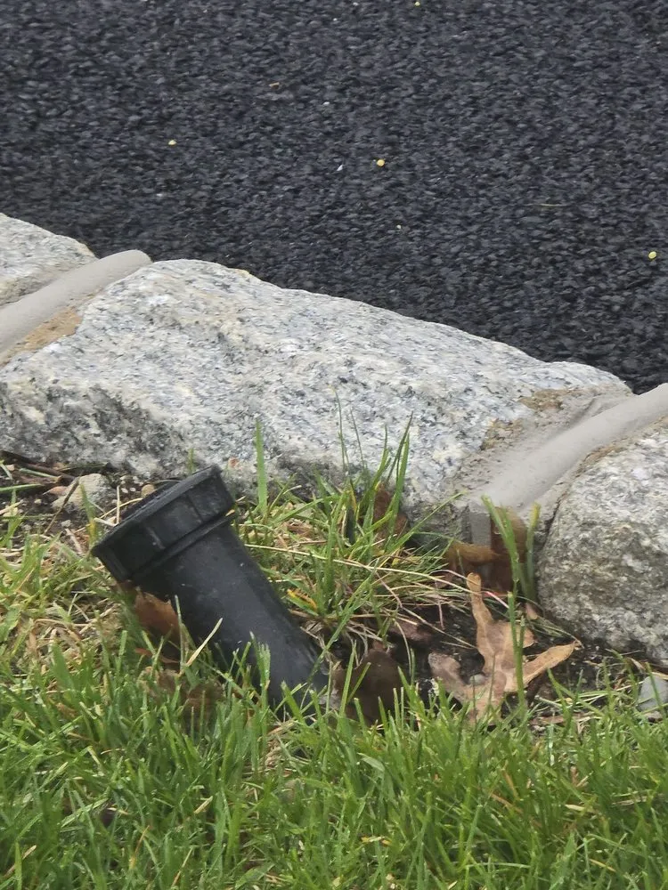 Professional yard maintenance near you in Hicksville, NY by Chris's Lawn Service