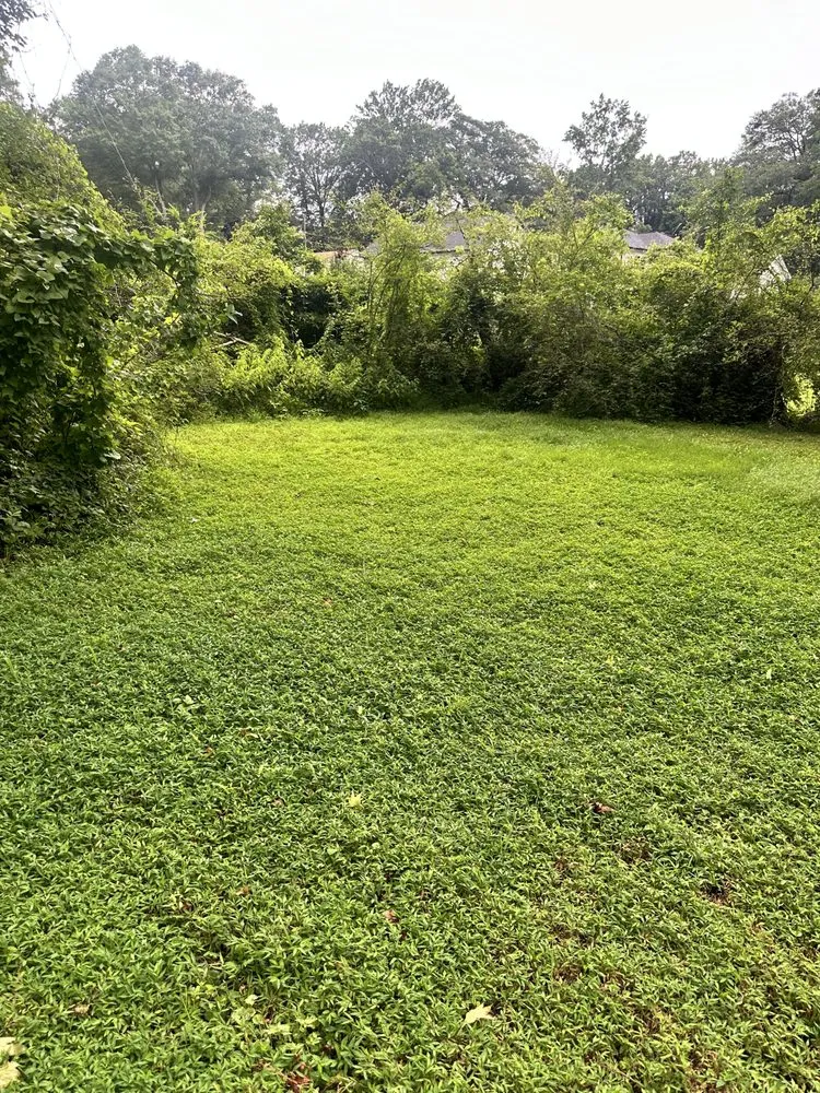 Top-rated residential landscaping with custom design in Atlanta, GA by Chris’s Mowing