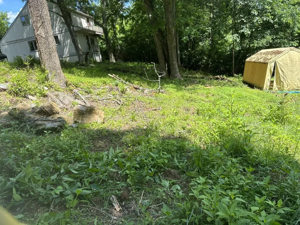 Affordable yard maintenance for residential properties across Kingsport, TN - Chris's Mowing, Pressure Washing and Odd Jobs