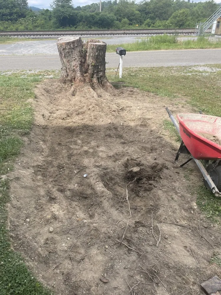 Top-rated residential landscaping experts serving Kingsport, TN - Chris's Mowing, Pressure Washing and Odd Jobs