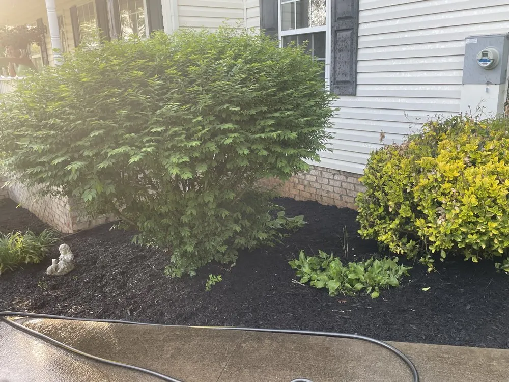 Trusted yard cleanup service in Kingsport, TN by Chris's Mowing, Pressure Washing and Odd Jobs