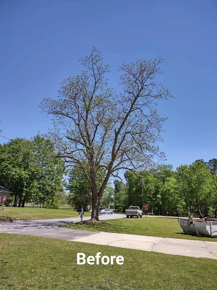 Expert landscape design for homes in West Columbia, SC by Chris's Tree Service Removal & Hauling