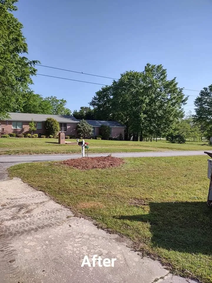 Top-rated yard cleanup service in West Columbia, SC - Chris's Tree Service Removal & Hauling