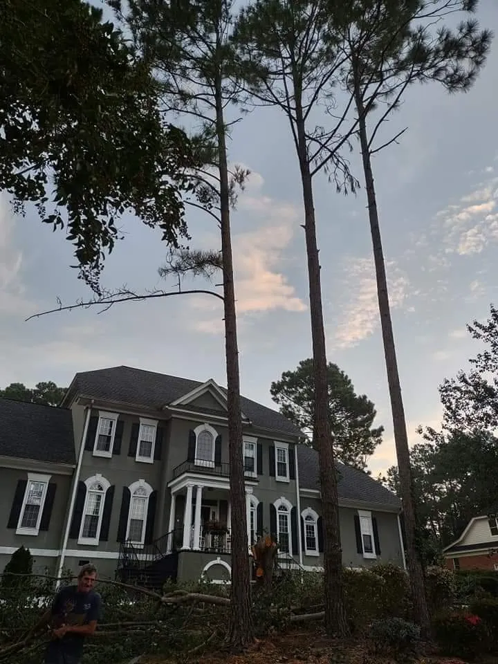 Affordable lawn mowing service near you in West Columbia, SC by Chris's Tree Service Removal & Hauling