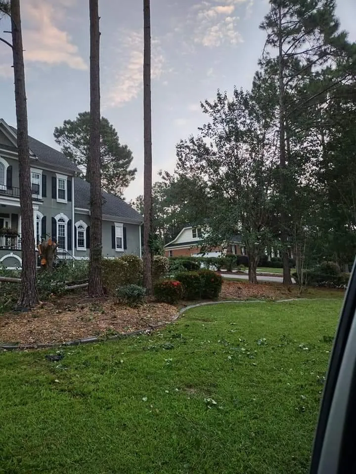 Professional outdoor landscaping in West Columbia, SC - Chris's Tree Service Removal & Hauling