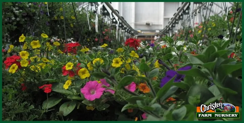 Custom lawn mowing service with custom design in Onalaska, WI by Christen Farm Nursery