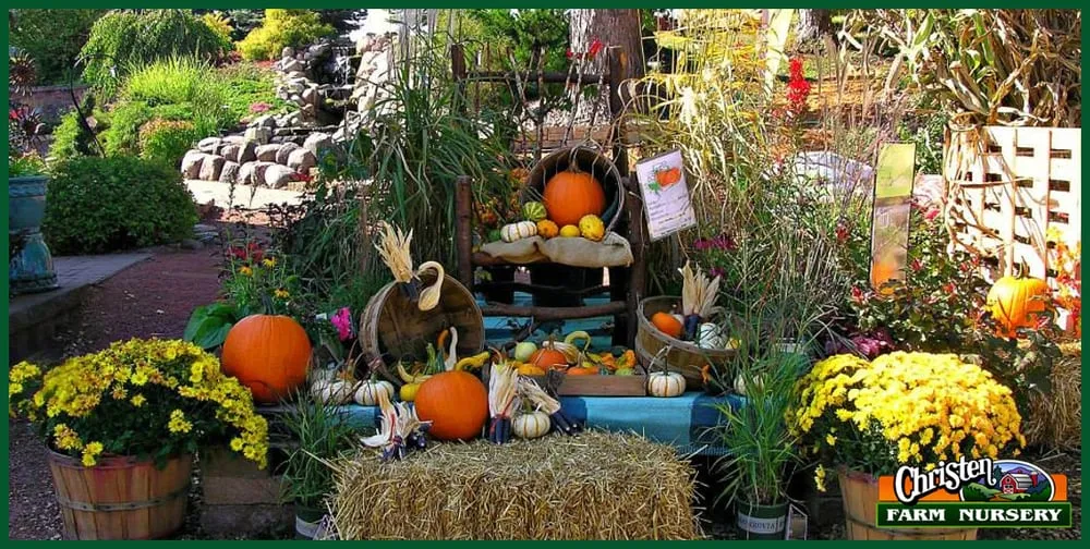 Affordable outdoor landscaping for beautiful yards in Onalaska, WI by Christen Farm Nursery