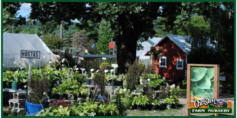 Reliable residential landscaping experts serving Onalaska, WI - Christen Farm Nursery