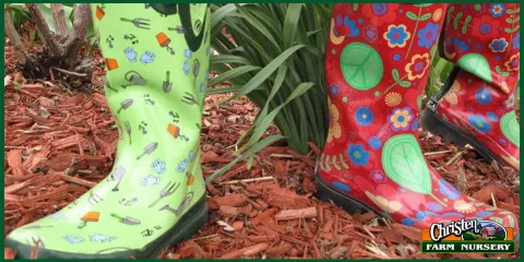 Top-rated residential landscaping in Onalaska, WI by Christen Farm Nursery