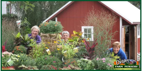 Reliable yard maintenance experts serving Onalaska, WI - Christen Farm Nursery