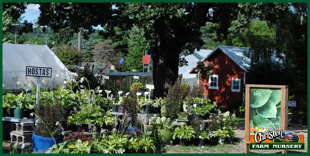 Custom landscaping services in Onalaska, WI by Christen Farm Nursery