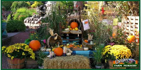 Top-rated landscaping services experts serving Onalaska, WI - Christen Farm Nursery