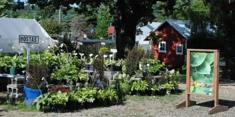 Local residential landscaping in Onalaska, WI by Christen Farm Nursery