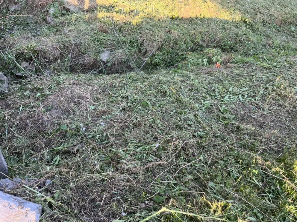 Custom residential landscaping experts serving Lebanon, TN - Christensen’s Lawncare