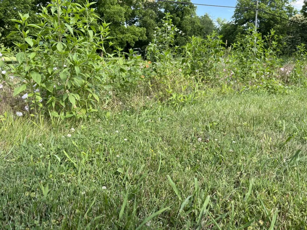 Affordable yard cleanup service experts serving Lebanon, TN - Christensen’s Lawncare