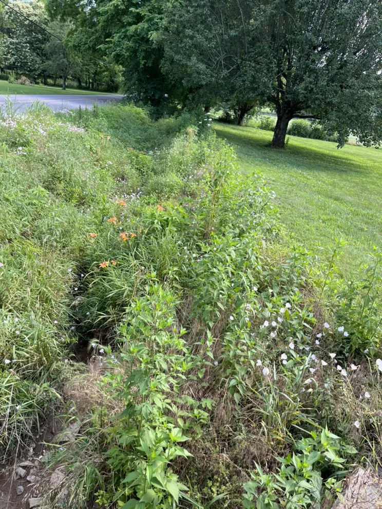 Local lawn mowing service in Lebanon, TN by Christensen’s Lawncare