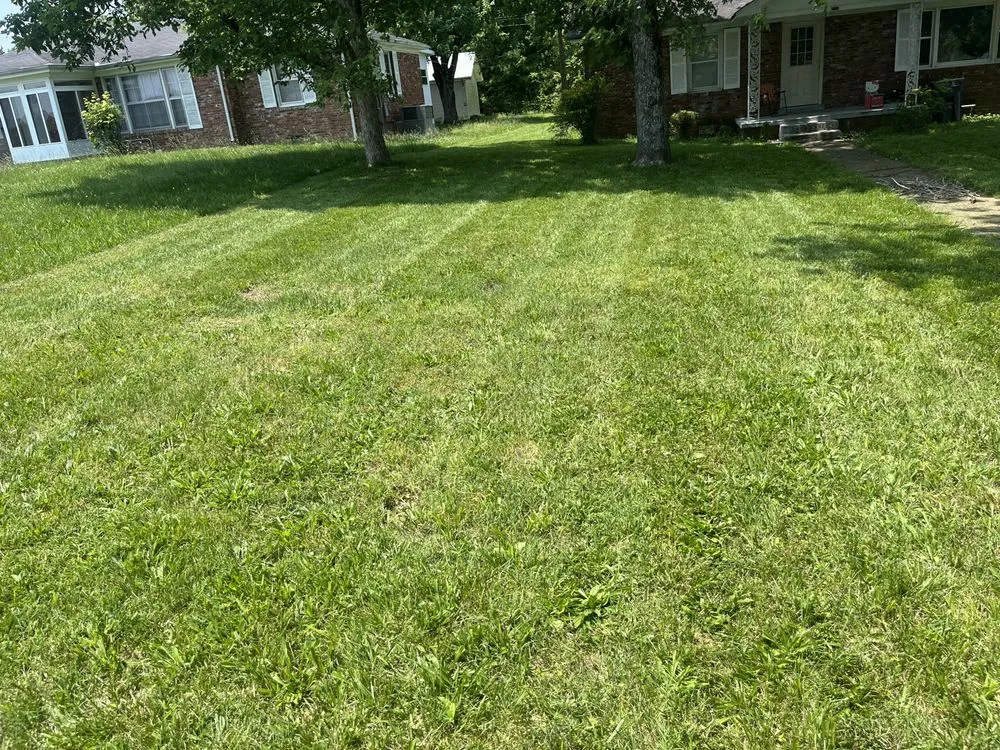 Custom yard cleanup service for residential properties in Lebanon, TN by Christensen’s Lawncare