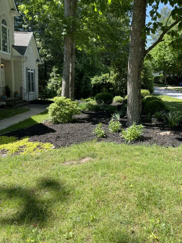 Trusted lawn mowing service for beautiful yards across Arden, NC - Christian Brothers Grading and Landscape