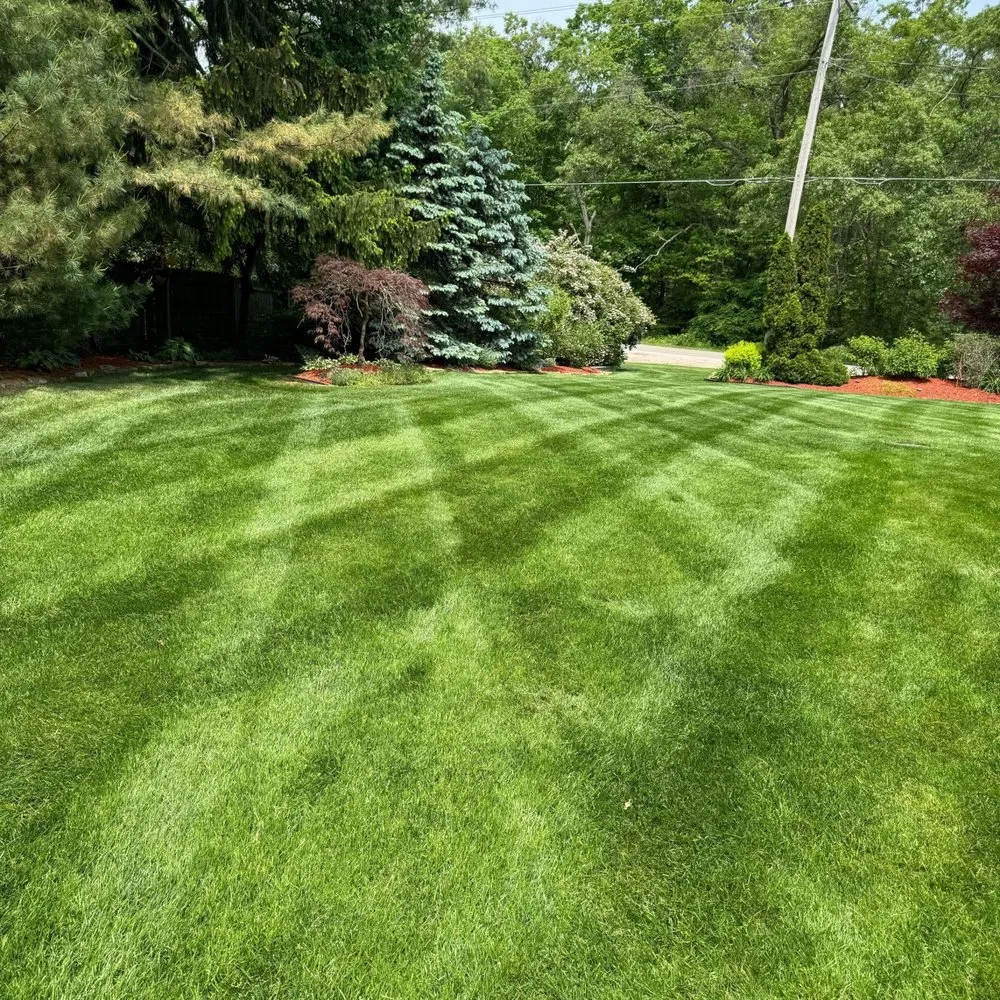 Local lawn care service in Grant, MI by Christian Brothers Outdoor Services