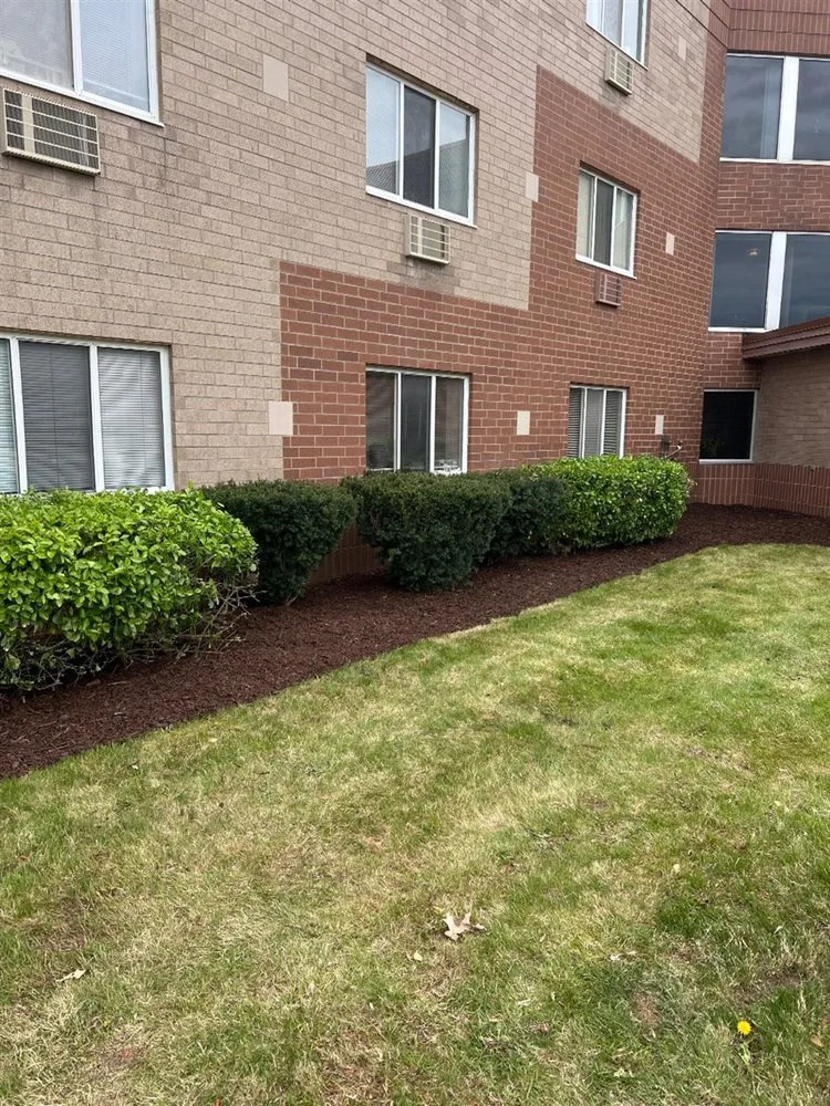 Trusted landscaping services near you in Grant, MI by Christian Brothers Outdoor Services