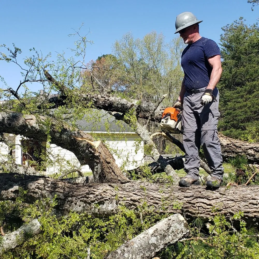 Trusted landscape design for beautiful yards in Tupelo, MS by Christian Chipper Service