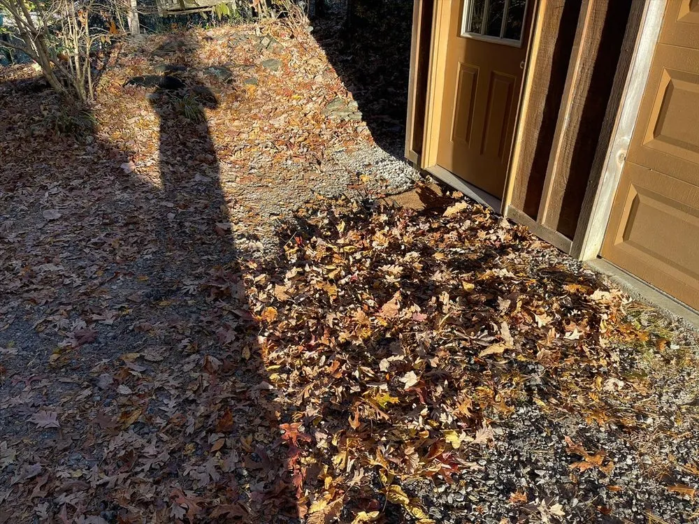 Affordable landscaping services experts serving Franklin, NC - Christian Junk Removal & Hauling