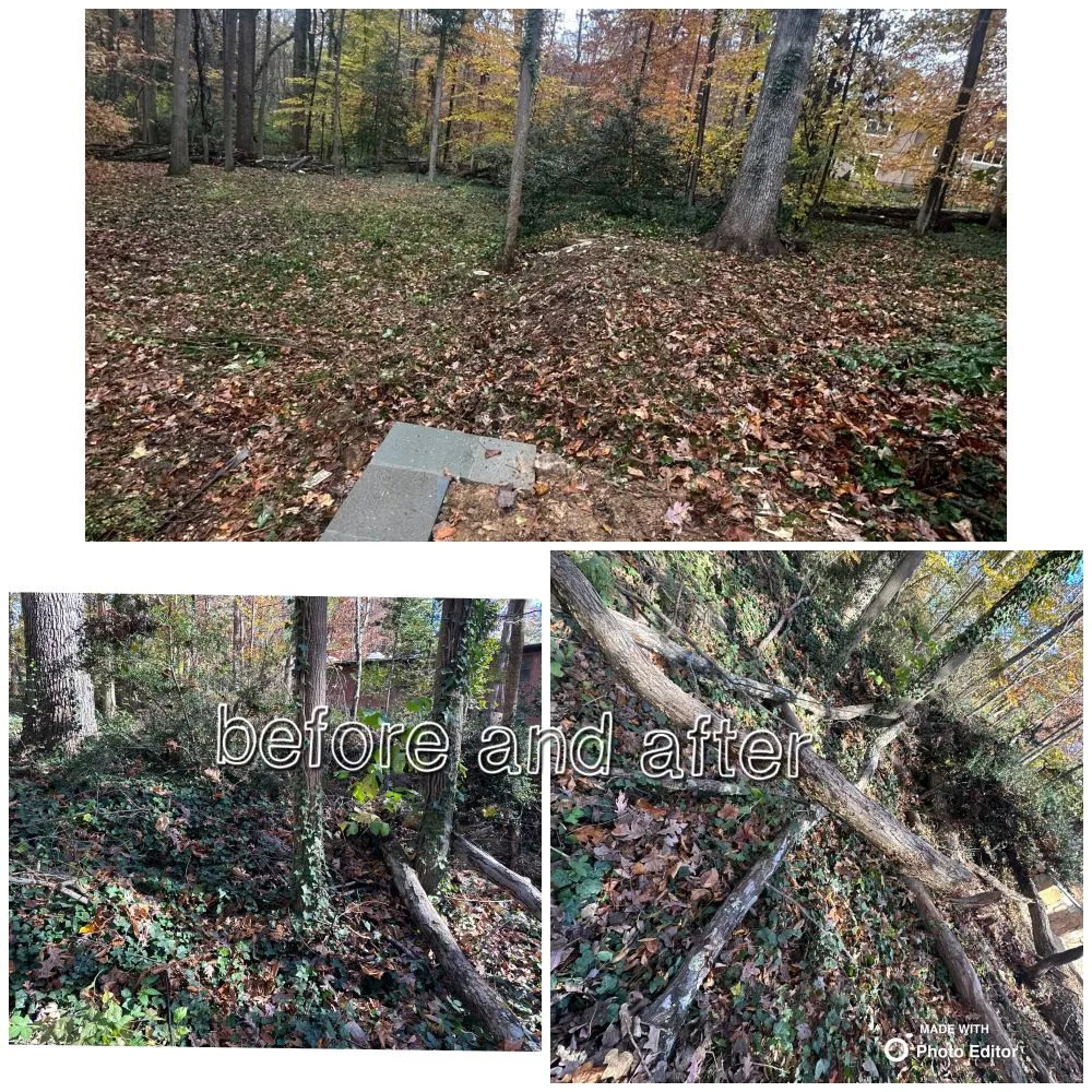 Affordable lawn care service experts serving Winchester, VA - Christian Landscaping And Exterior