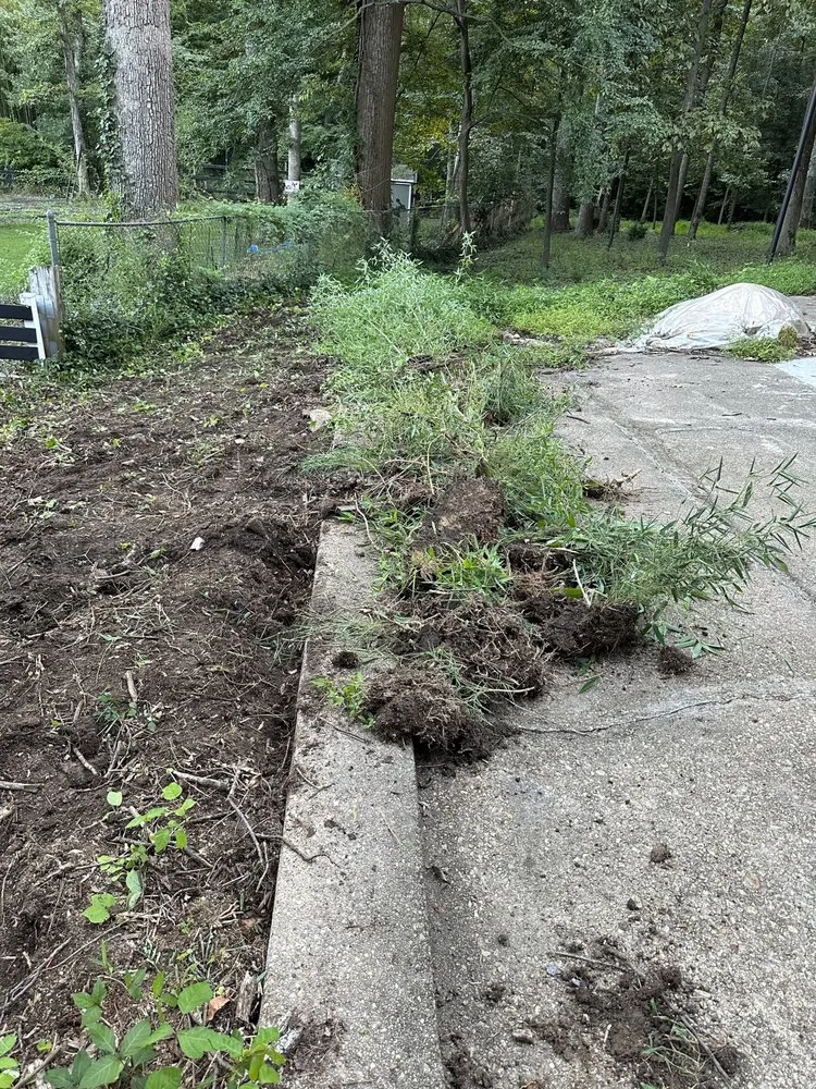 Affordable landscaping services for outdoor upgrades in Winchester, VA by Christian Landscaping And Exterior