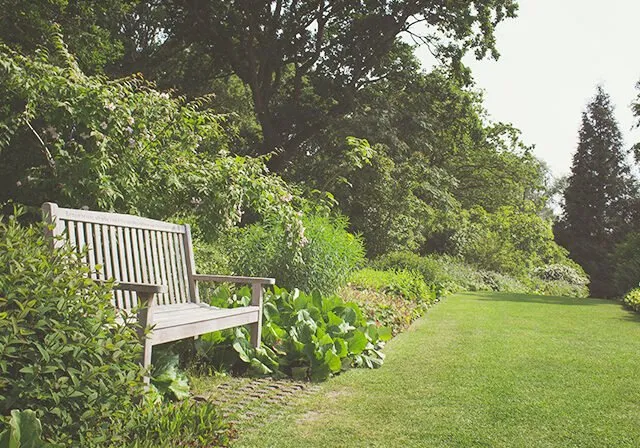 Professional yard maintenance for beautiful yards in Milford, DE by Christian Landscaping Company Llc