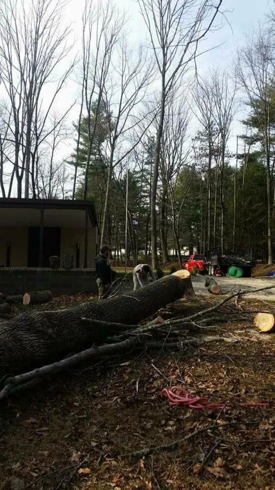 Trusted lawn mowing service in Trenton, NJ - Christian Landscaping