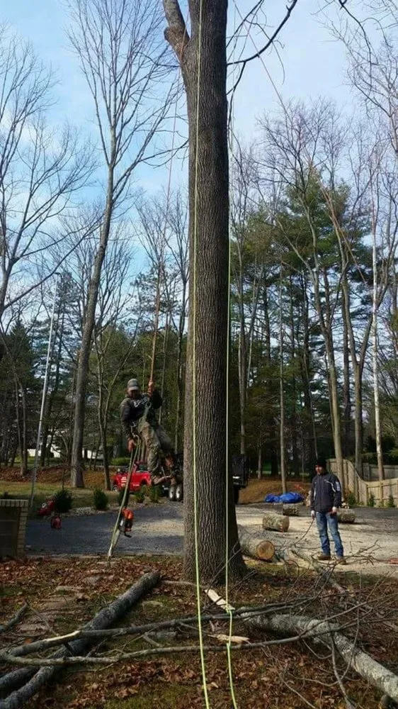 Professional garden landscaping for homes across Trenton, NJ - Christian Landscaping