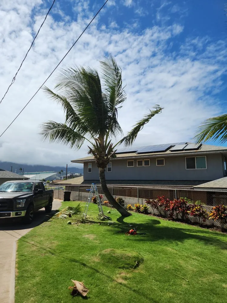 Affordable yard cleanup service in Maui, HI - Christian Lanscaping