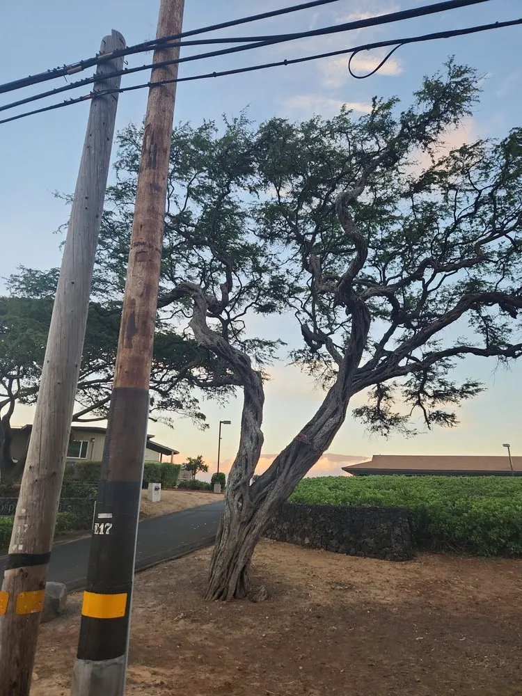Professional lawn mowing service in Maui, HI by Christian Lanscaping