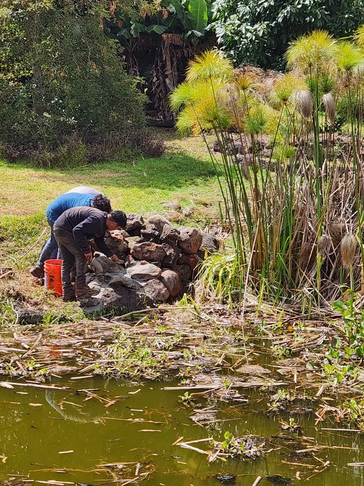 Affordable garden landscaping experts serving Maui, HI - Christian Lanscaping