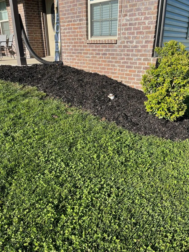 Expert yard maintenance for year-round maintenance across Clarksville, TN - Christian Lawn and Landscaping