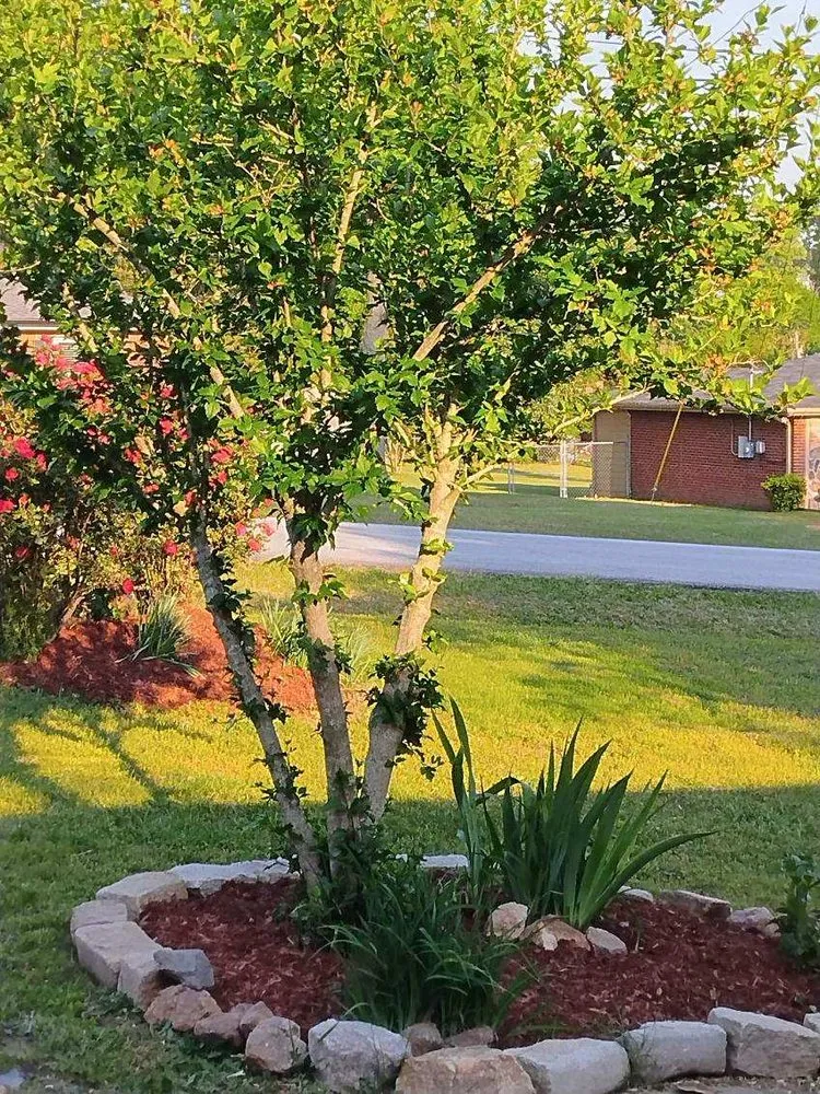 Expert landscape installation for homes in Lithia Springs, GA by Christian Lawn Service