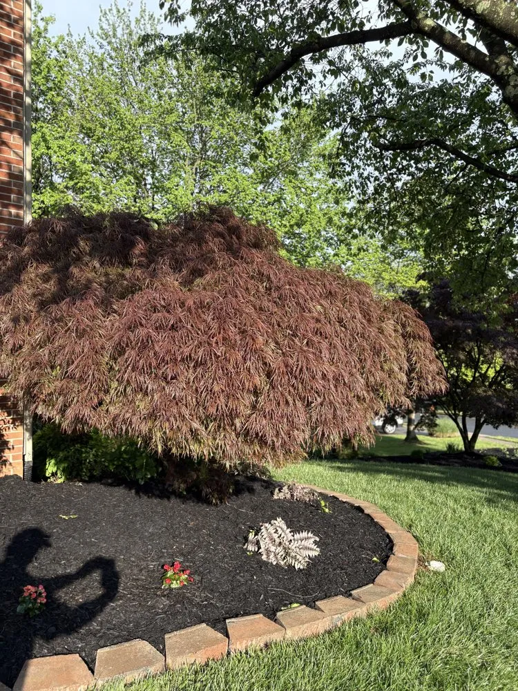 Custom yard maintenance for year-round maintenance across Parkville, MD - Christian Outdoor Landscape